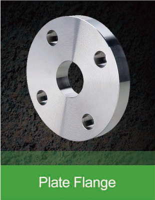 Stainless Steel SA-182 F 304 316 Pipe Flange Customized Size