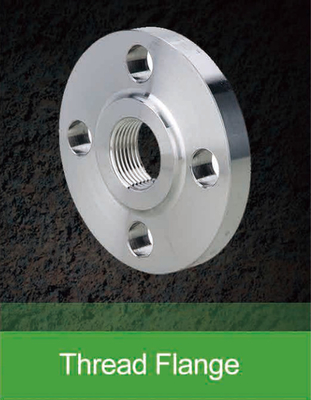 Stainless Steel SA-182 F 304 316 Pipe Flange Customized Size